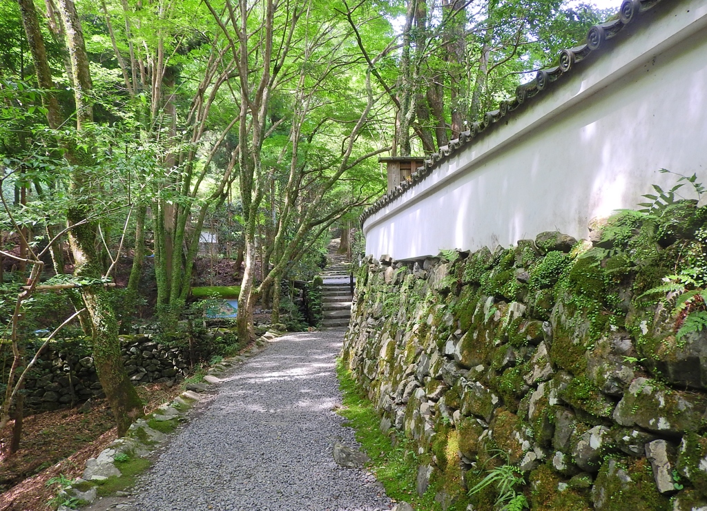 京都　高雄　高山寺