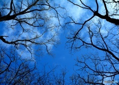 朝空１