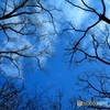 朝空１
