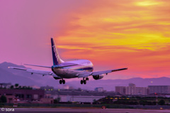 夕焼と飛行機