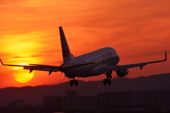 夕焼と飛行機