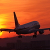夕焼と飛行機