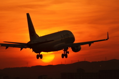 夕日と飛行機