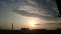 先日の夕日
