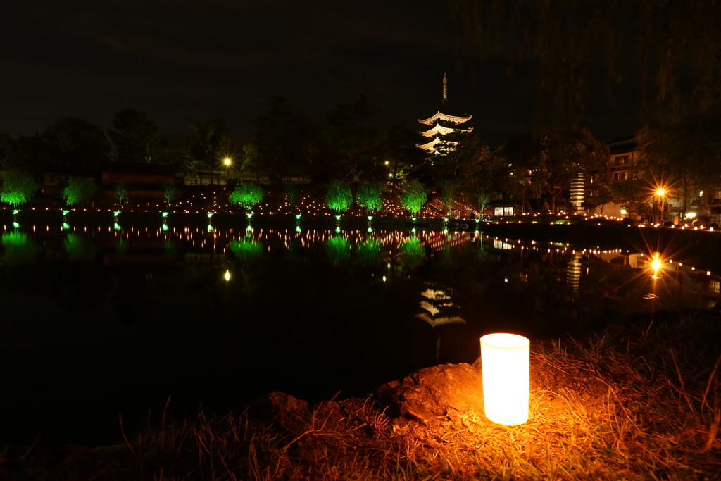 なら燈花会‗2016