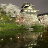 奈良 郡山城跡の夜桜