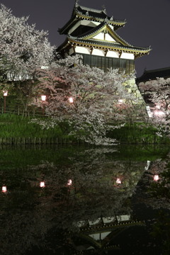 奈良 郡山城跡の夜桜