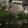 奈良 郡山城跡の夜桜
