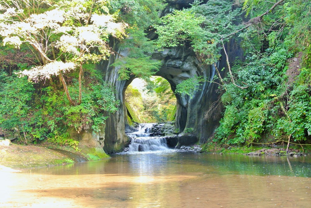 一狩り行こうぜ！