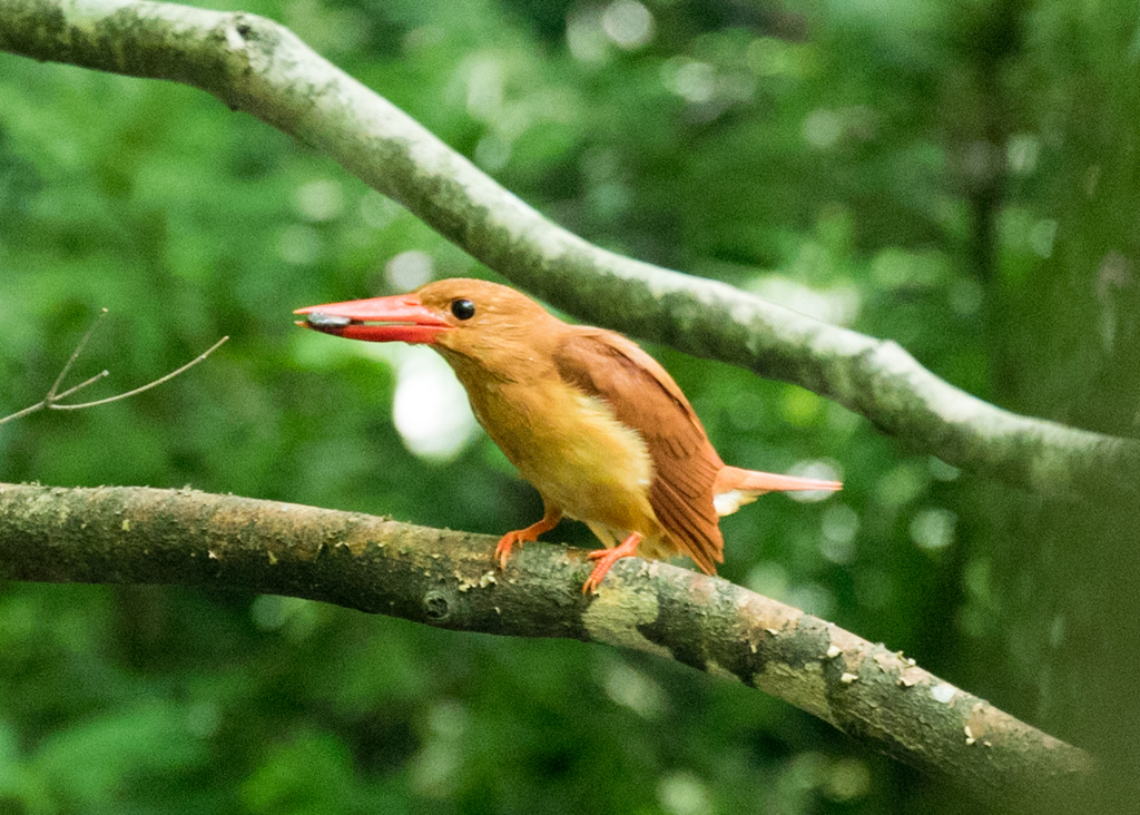いただきま～す♡