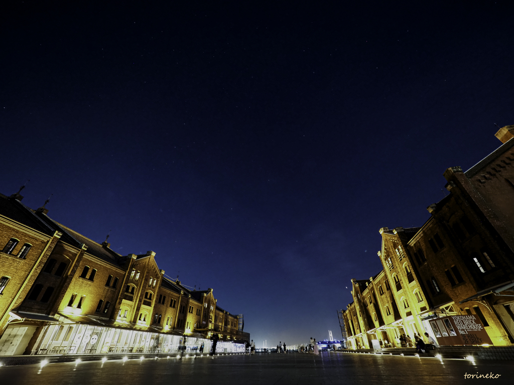 Yokohama Night Walk_Ⅰ