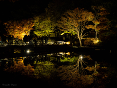 秋の夜散歩_Ⅱ