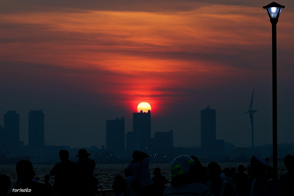 日没