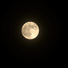 Hunter’s Moon