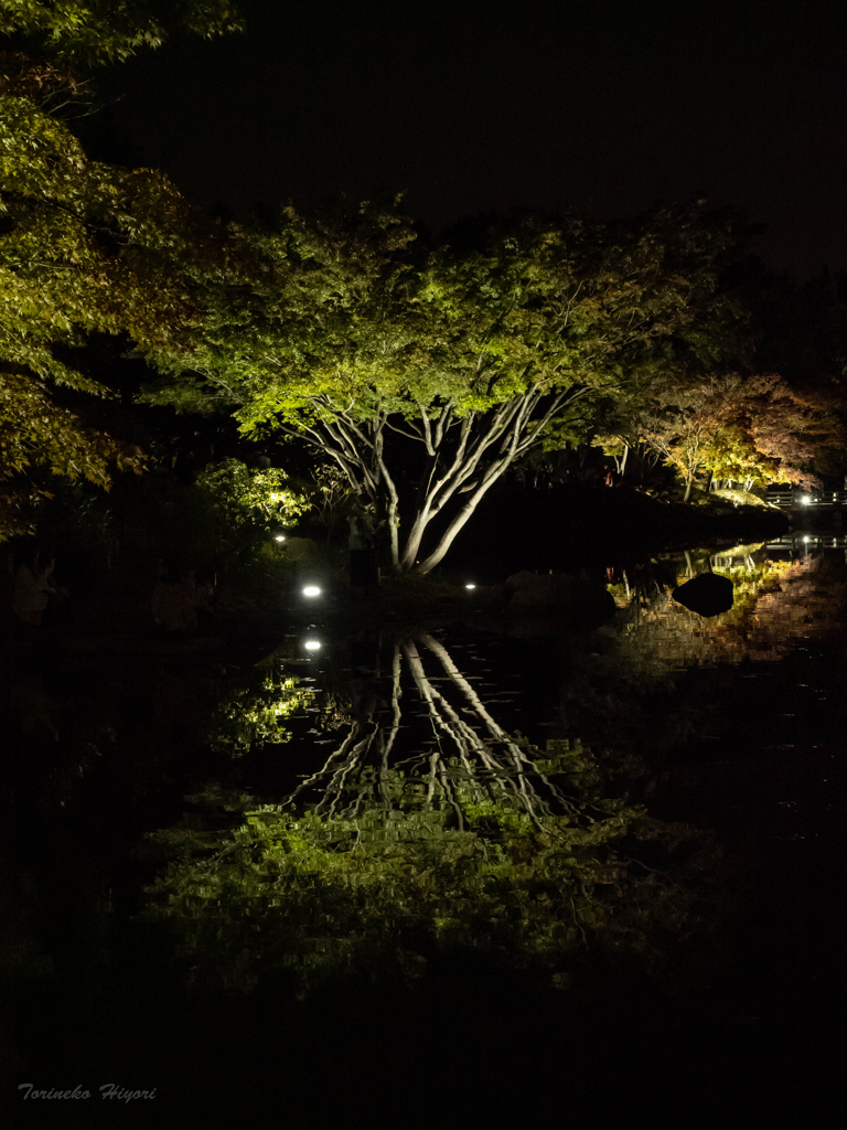 秋の夜散歩_Ⅰ