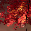 autumn colors Ⅰ～燃～