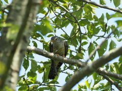 ご不満ですか〜