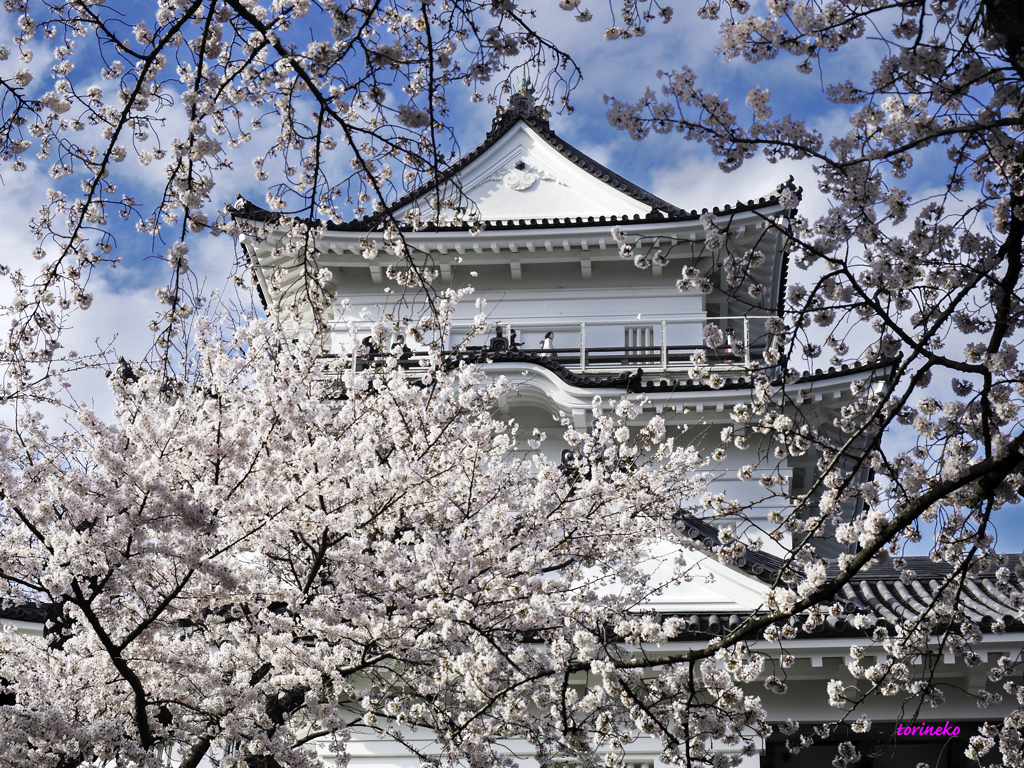 天下泰平の世