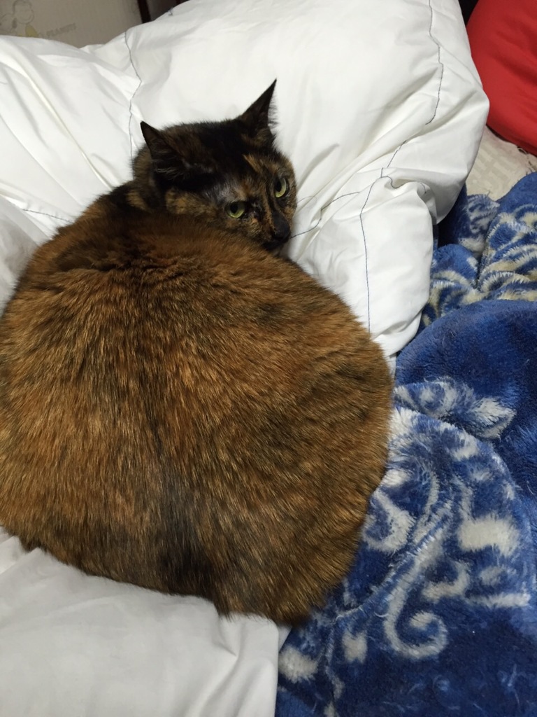 マリリンもビックリ❣️