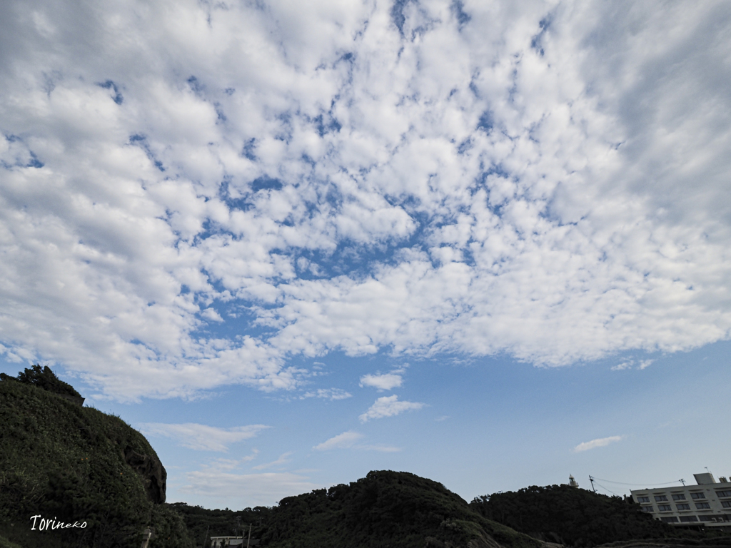 夏のそら～