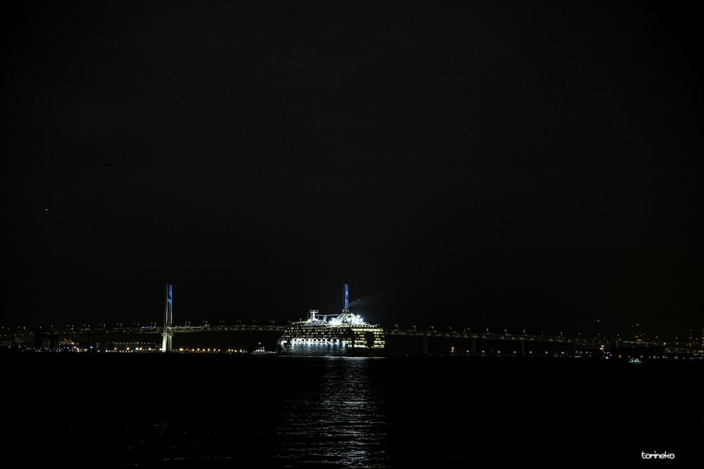 Night View of Yokohama