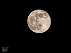 十六夜の満月（pink moon）
