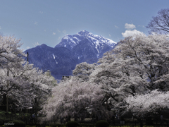 実相寺から望む