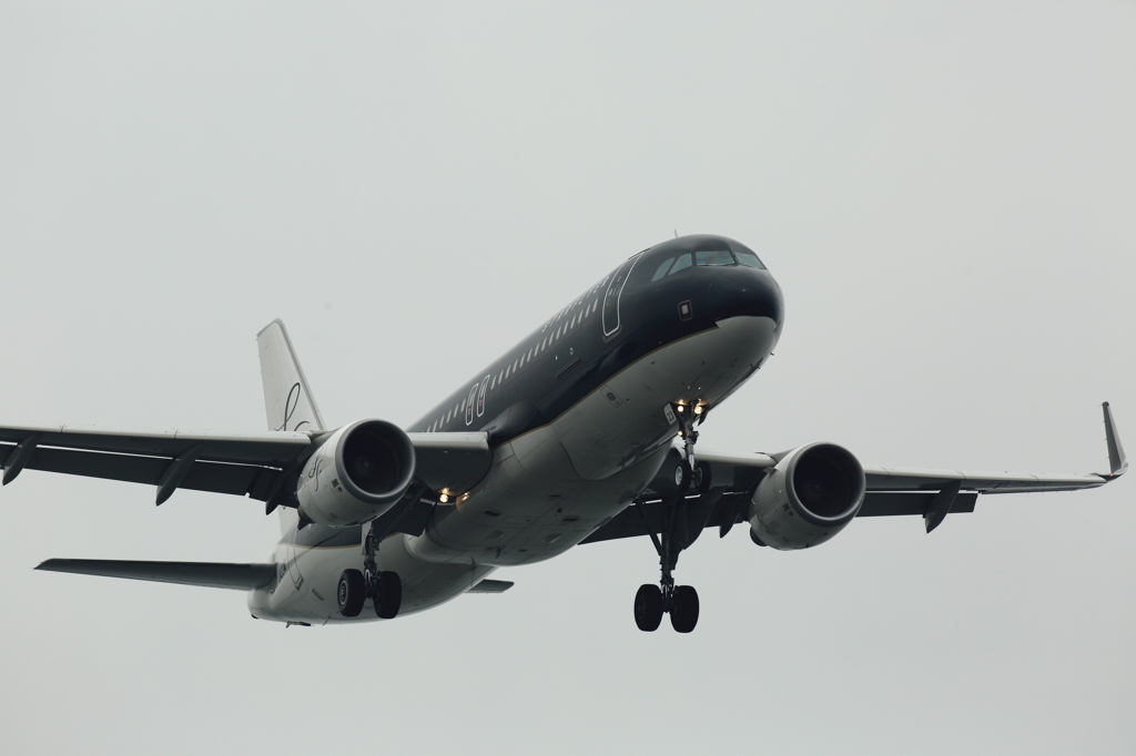 ボーイング737-800