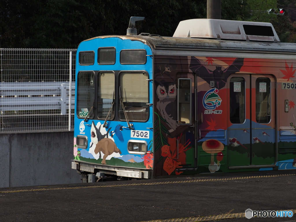 撮鉄（鳥撮り）ではありません
