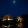 夜桜と小望月
