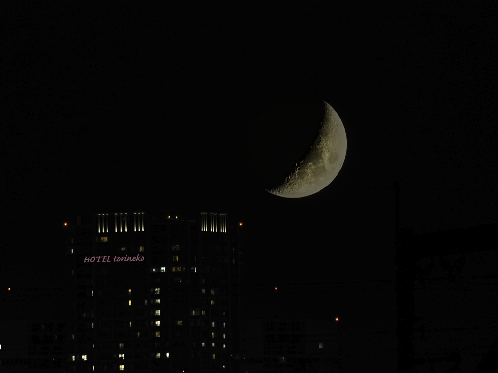 今夜の月で遊んで見ました＾＾