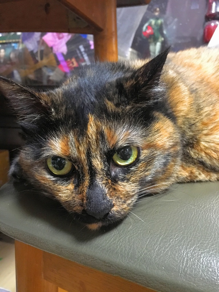 ご飯まだかなぁ〜