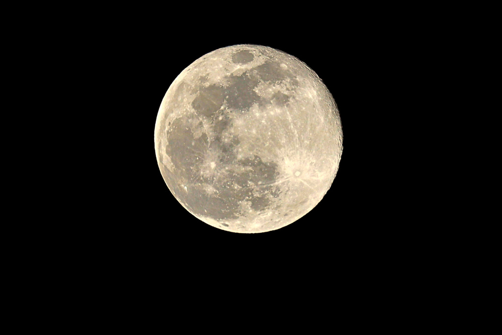 コールドムーン