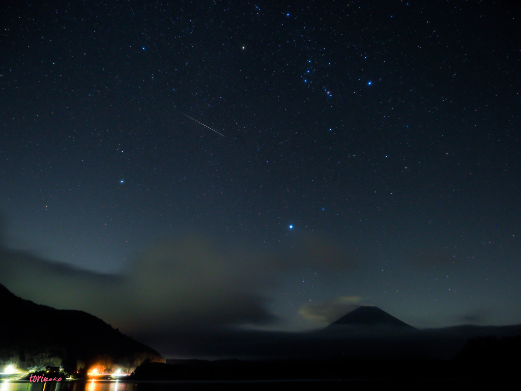 大三角形を射抜くふたご座流星