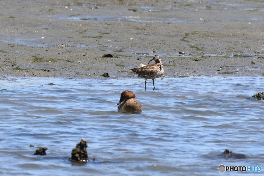 旅の途中で寄り道