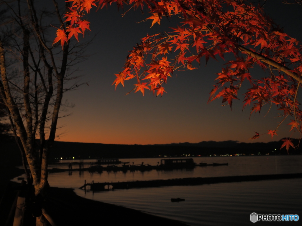 紅葉祭り_03