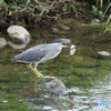 魚Get_05