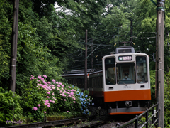 箱根登山鉄道（宮ノ下）