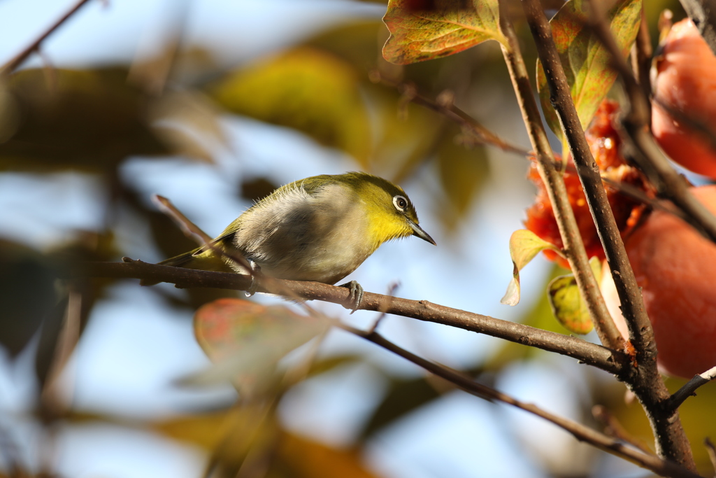 食べすぎたかな～