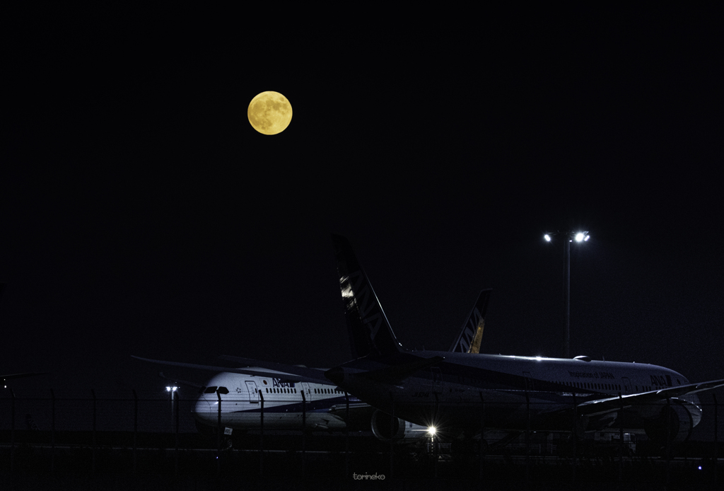 中秋の名月-airport