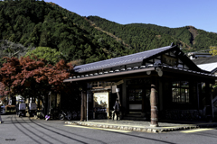 紅葉巡り-鳩ノ巣駅