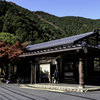 紅葉巡り-鳩ノ巣駅