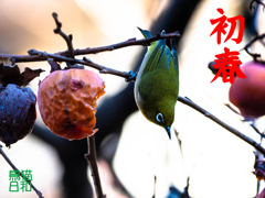 あけましておめでとうございます　2019_1_1新春