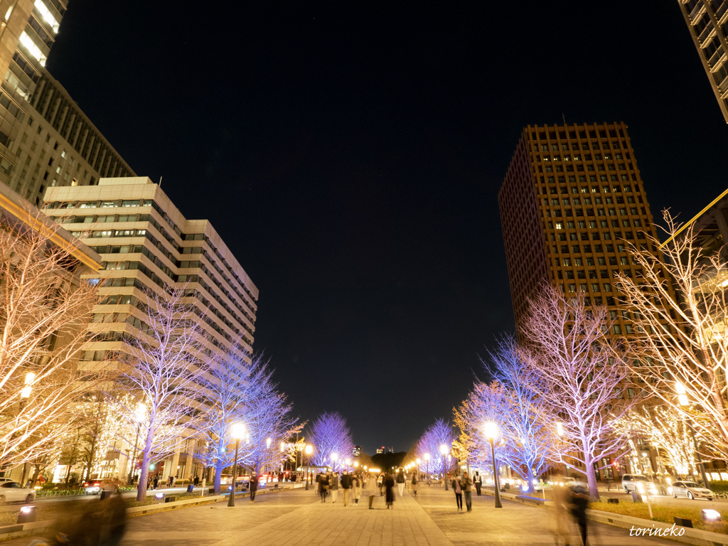 Night view of Tokyo_02