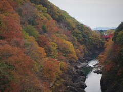 高津戸峡の紅葉