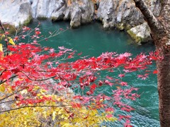 高津戸峡の紅葉