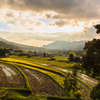 田舎の風景