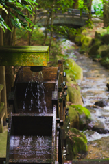 阿弥陀寺2