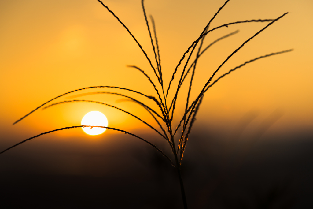 秋の夕日3