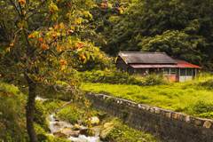 田舎の風景3